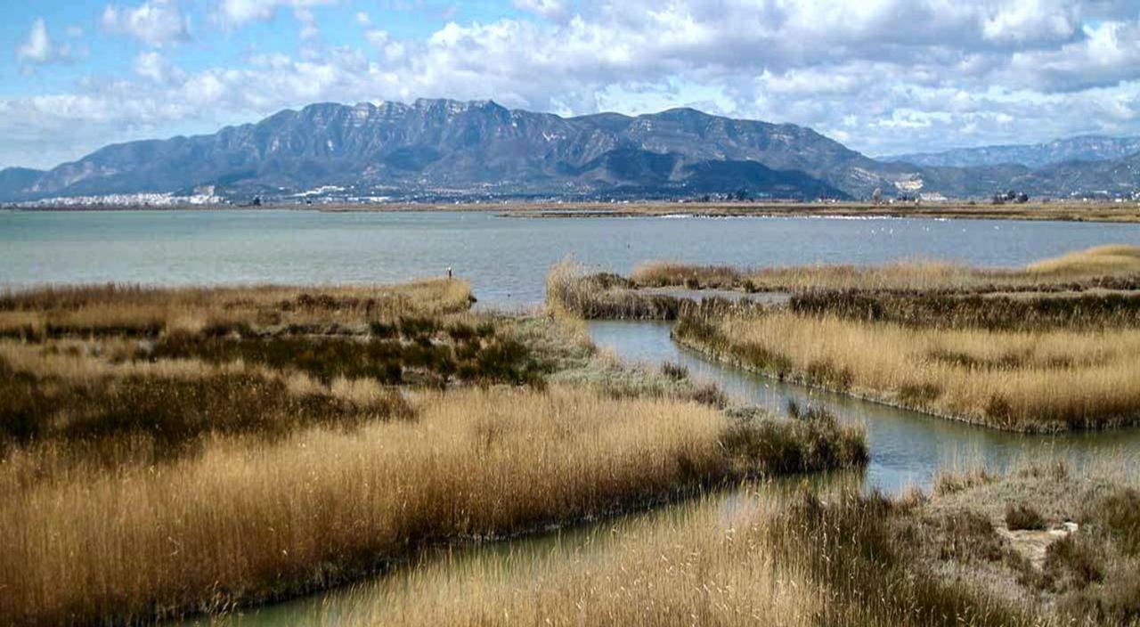 Mi Apartamento En El Delta Del Ebro+ Deltebre Bagian luar foto