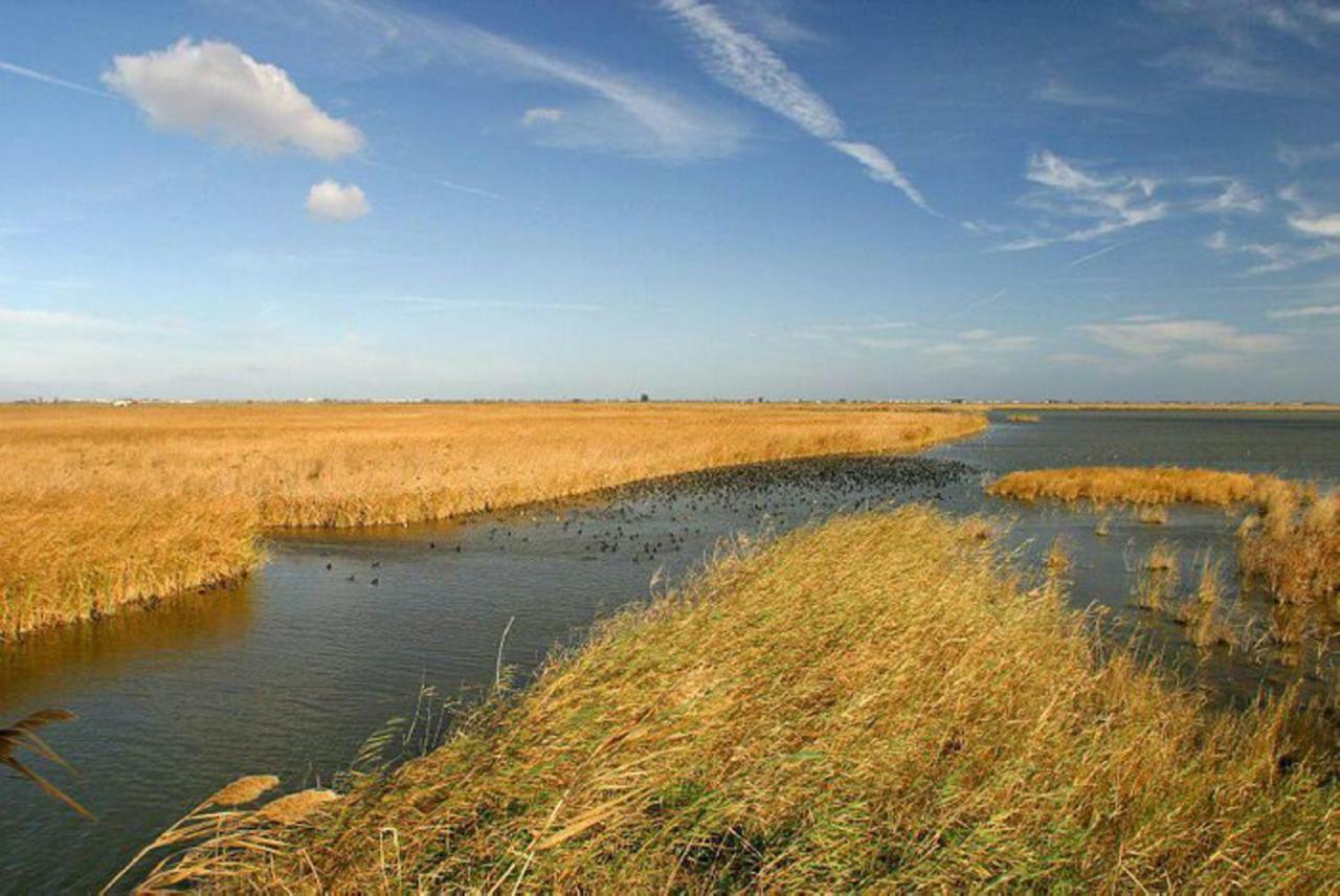 Mi Apartamento En El Delta Del Ebro+ Deltebre Bagian luar foto