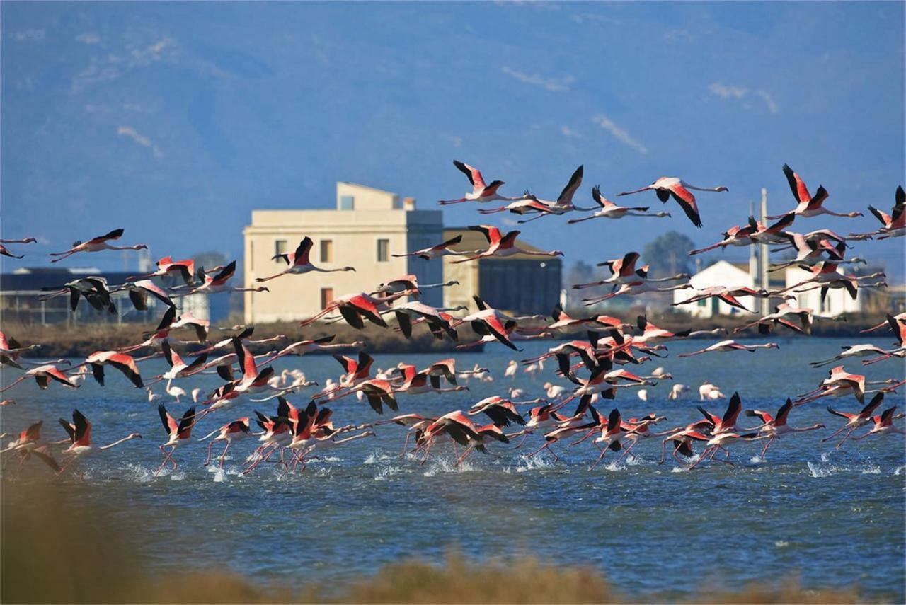Mi Apartamento En El Delta Del Ebro+ Deltebre Bagian luar foto