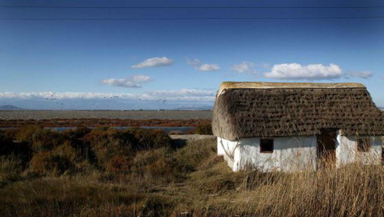 Mi Apartamento En El Delta Del Ebro+ Deltebre Bagian luar foto