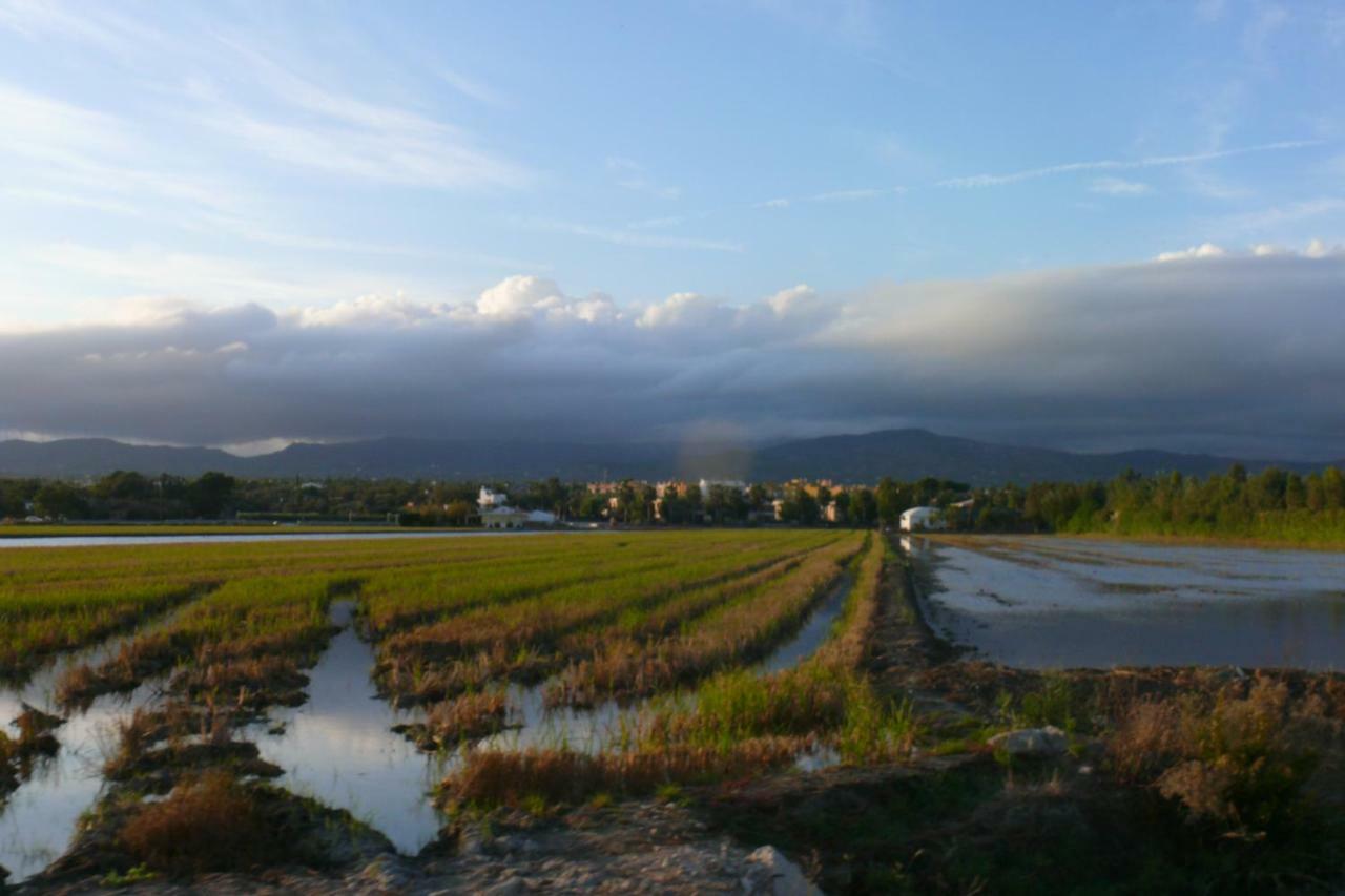 Mi Apartamento En El Delta Del Ebro+ Deltebre Bagian luar foto